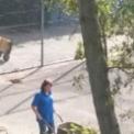 20141004_141713.jpg