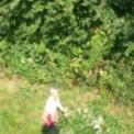 20141004_141630.jpg